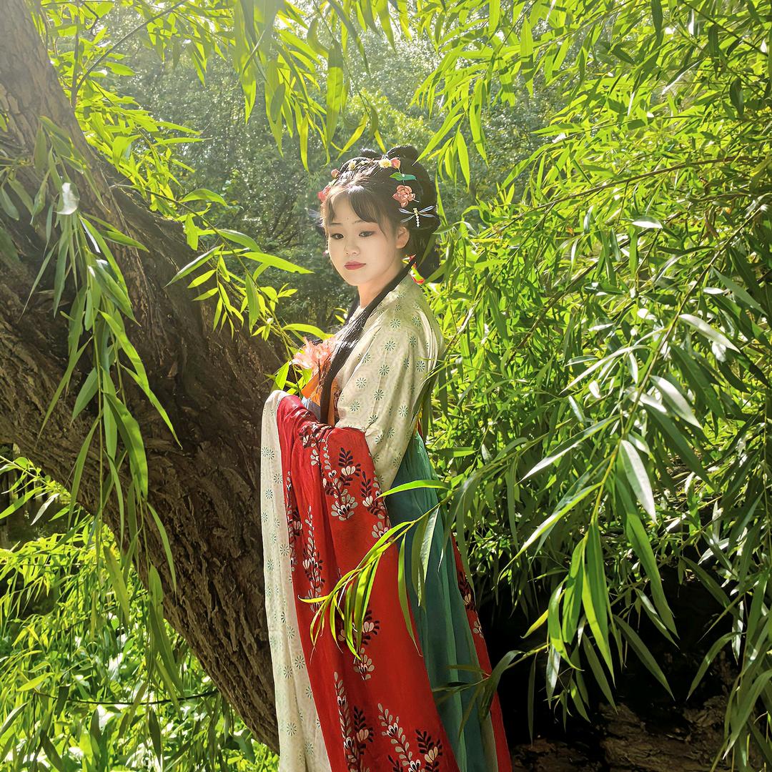 若茶茶