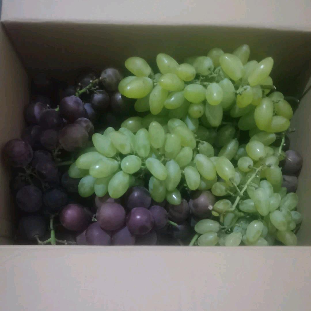 石金梅