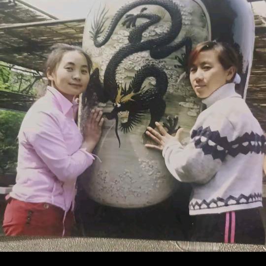 杨/琼