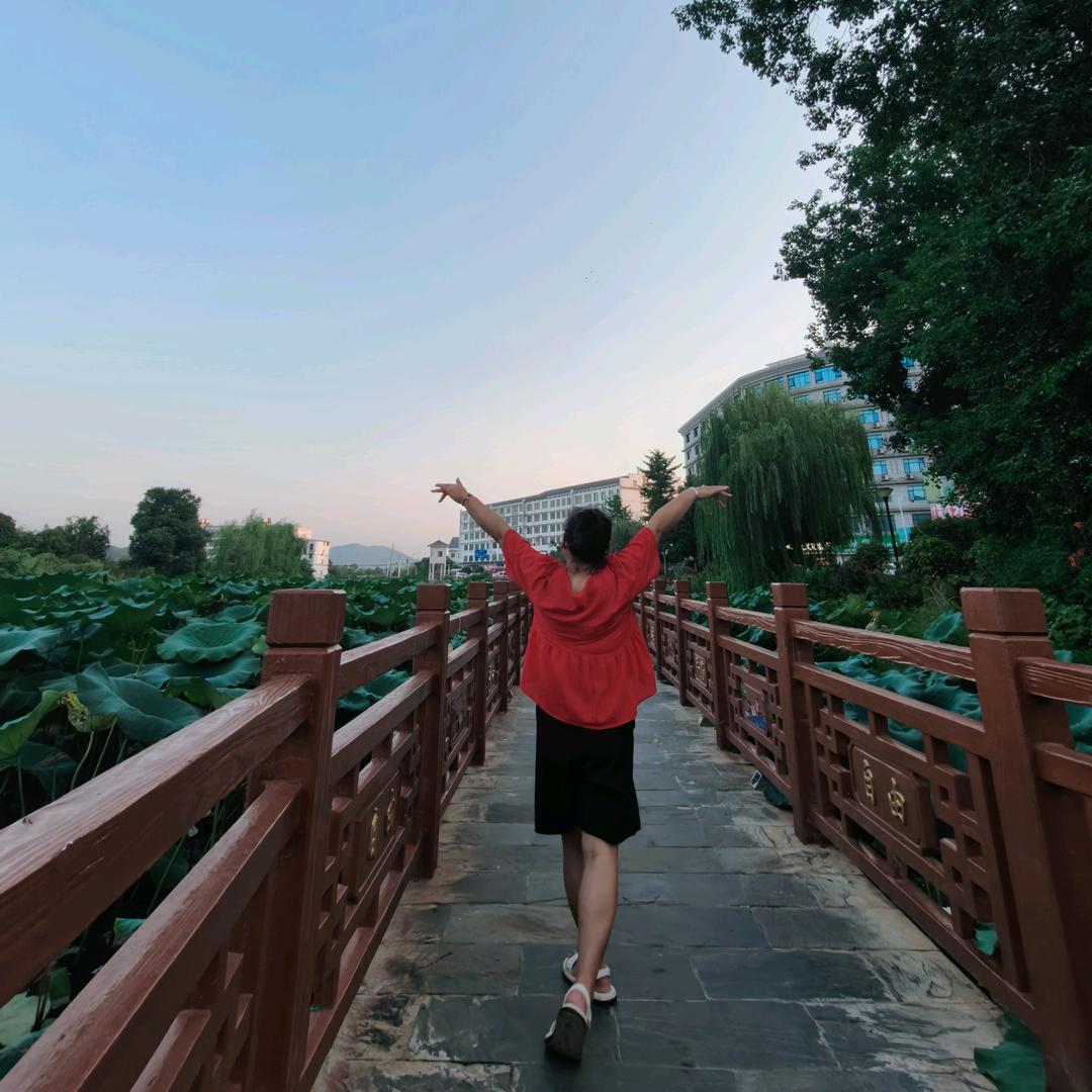 爱旅游的乖兔子