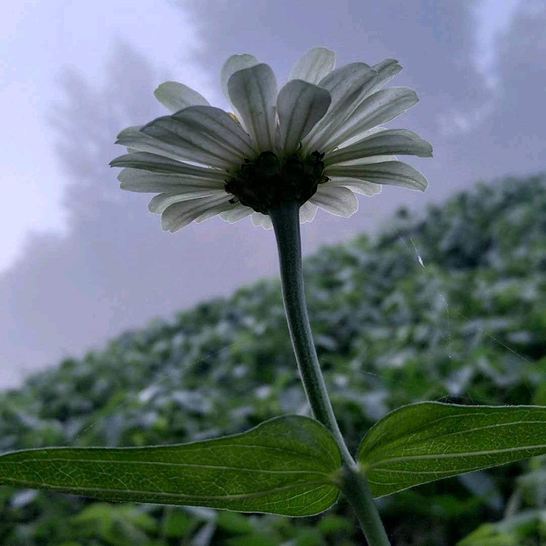 水清清，天篮篮