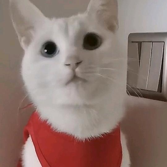 阳光