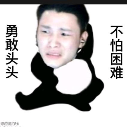 CF石头小助理