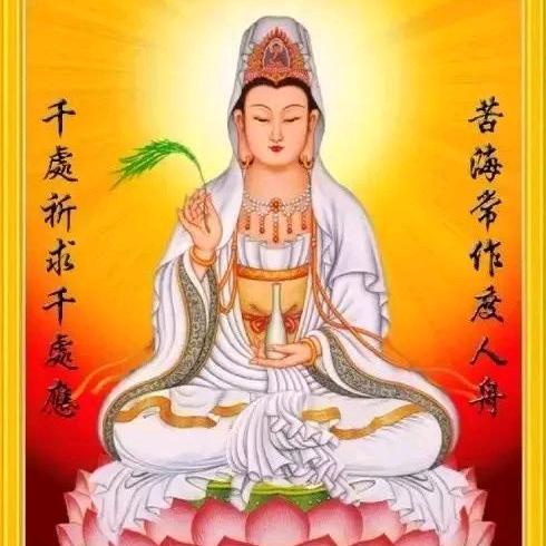 用户6093768081608