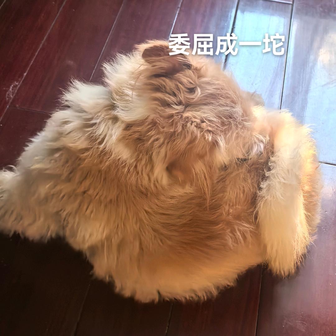 I'm雷雷
