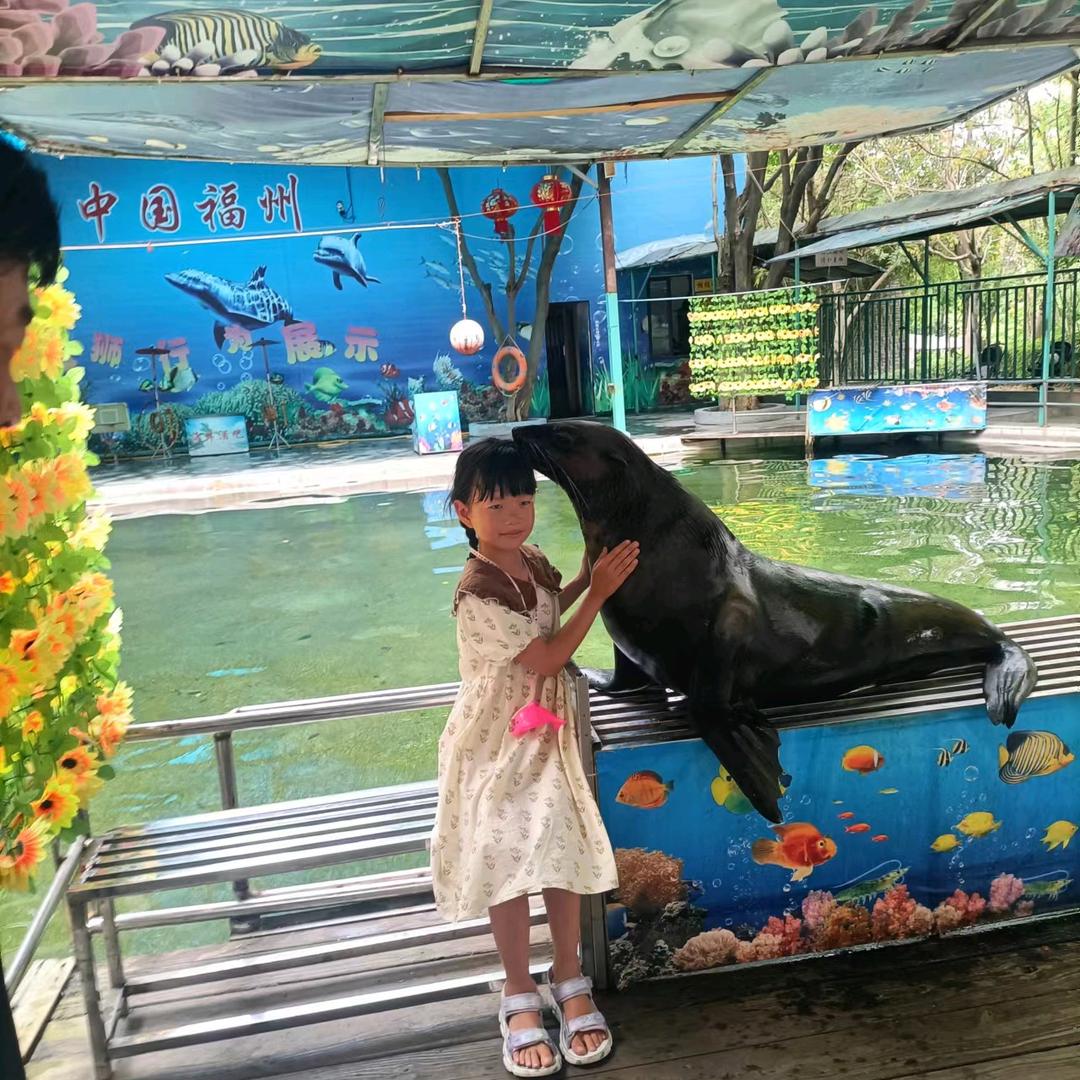 快乐的小月