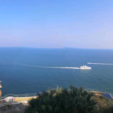 禾卿