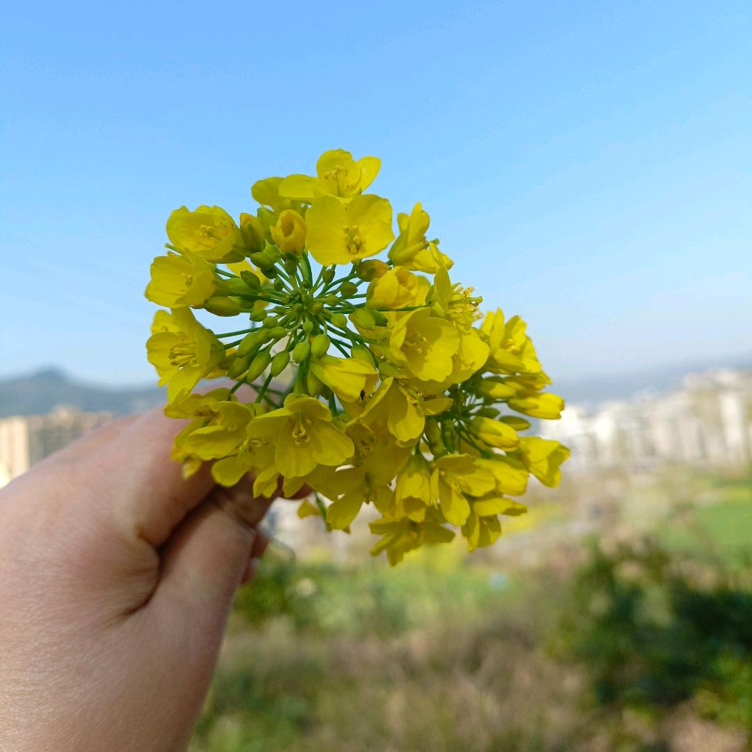 沉默