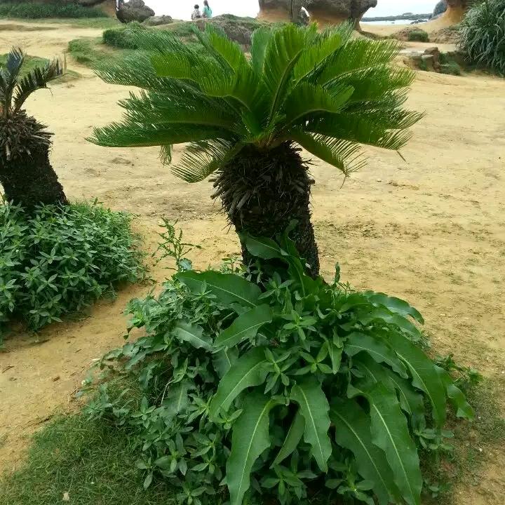 惠生活