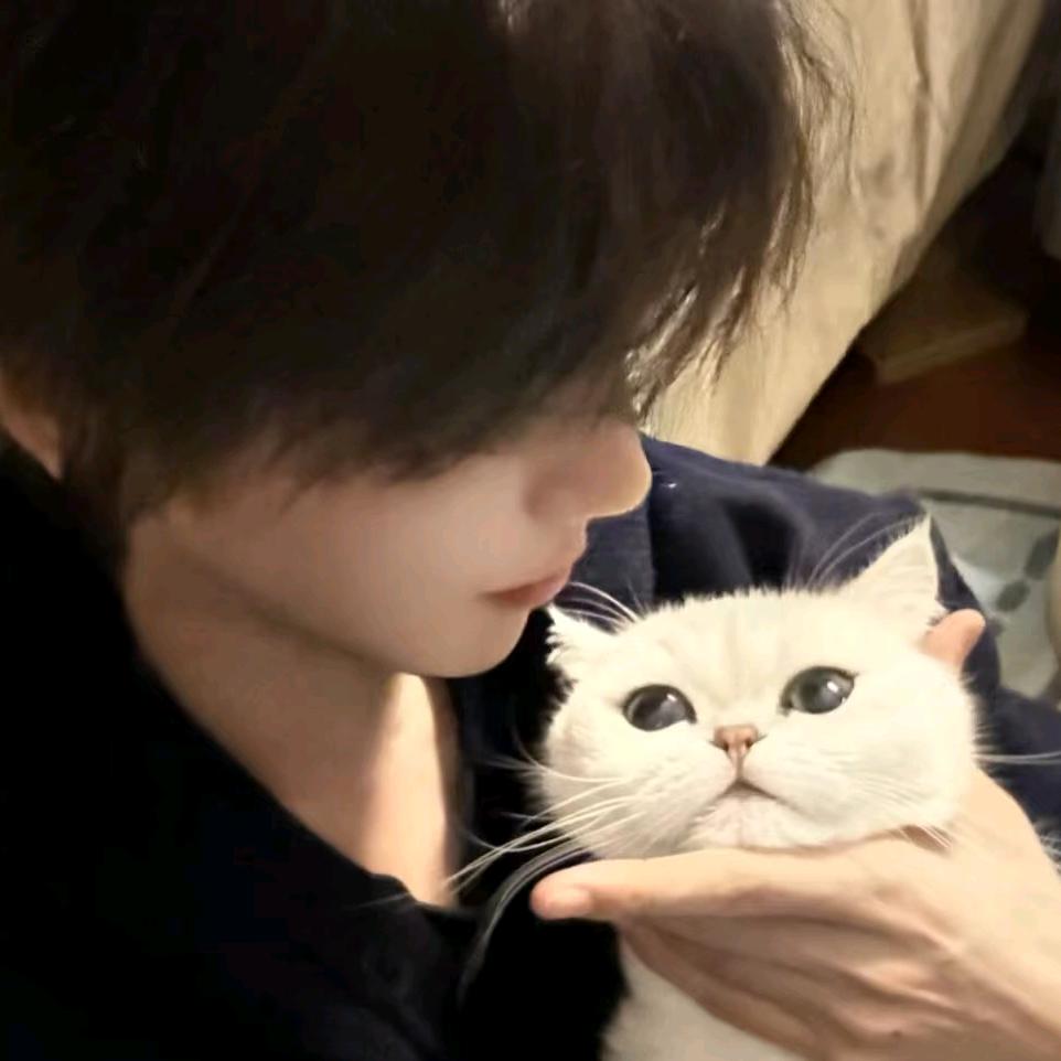 💫𝑨𝒓.金毛👑雾散