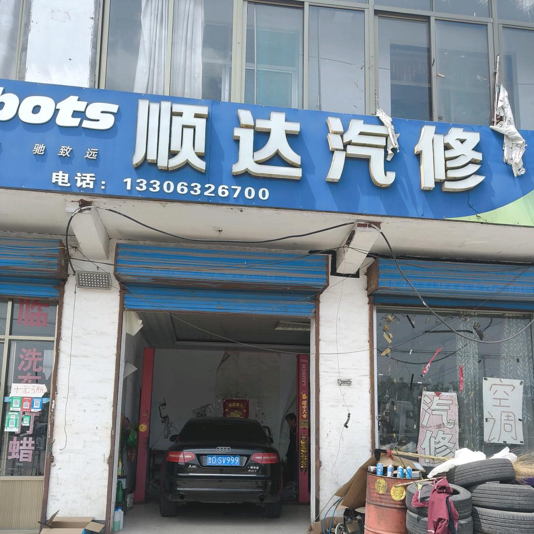 顺达汽修苗子