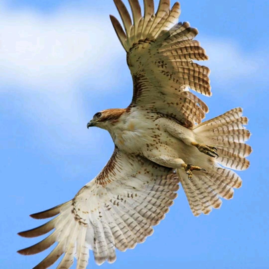 芬芳陶瓷收藏馆