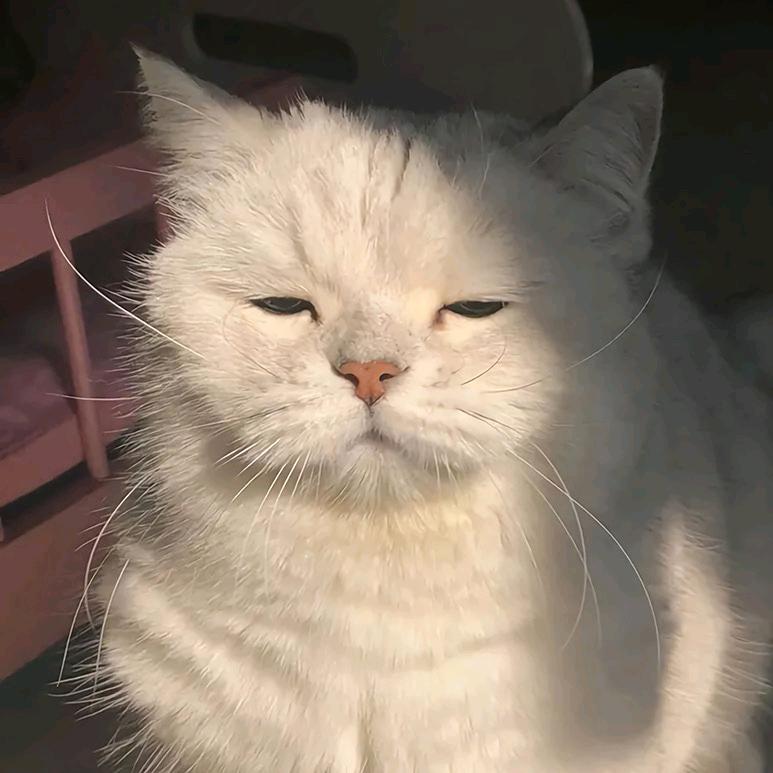 昔墨