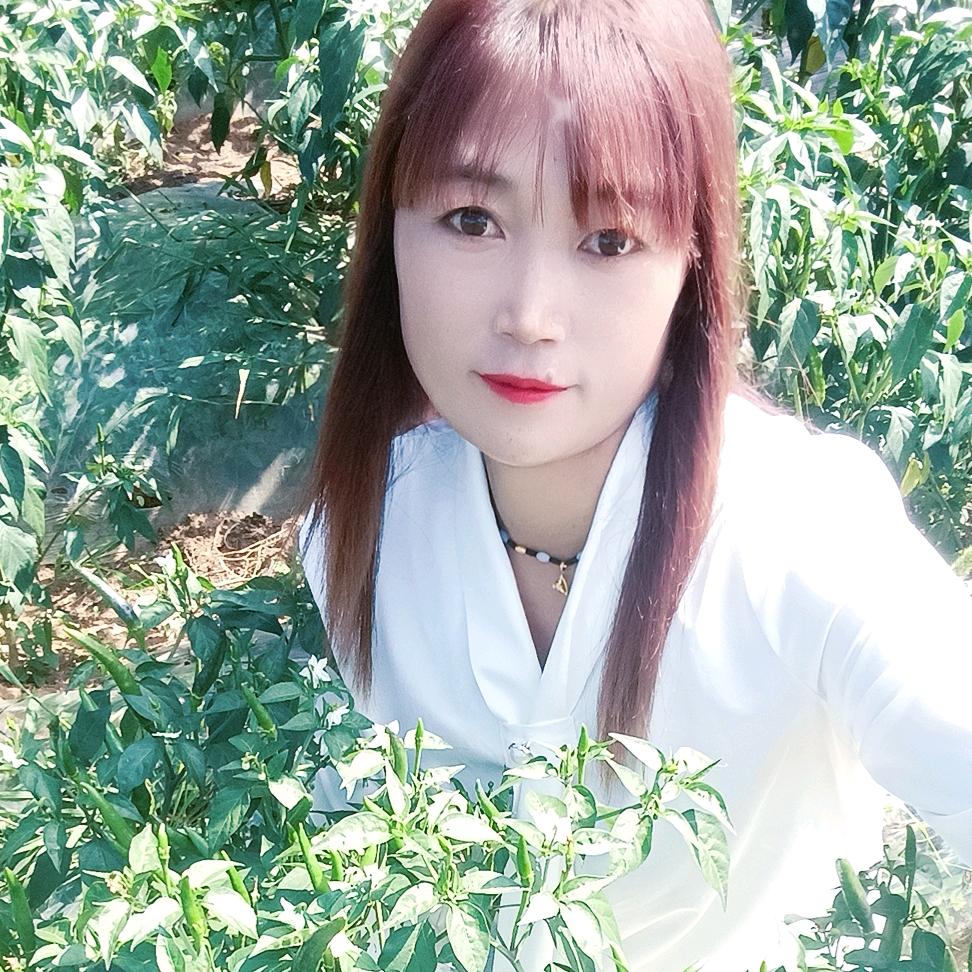 爱你一生不后悔