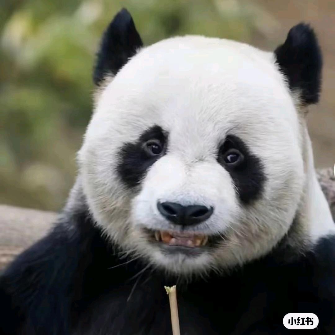 做好事不留名
