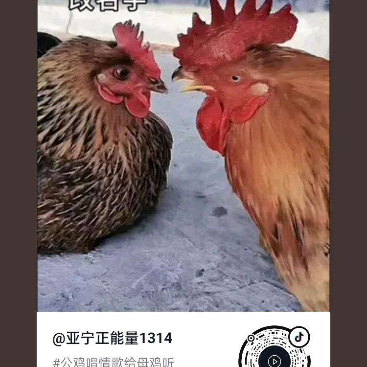 为了生活奋斗卢绍寸