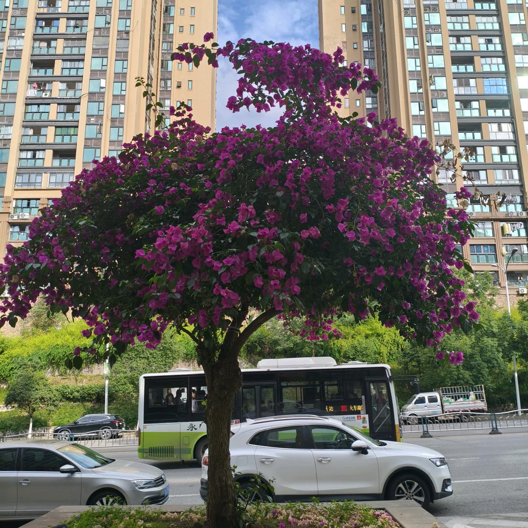 幸福快乐