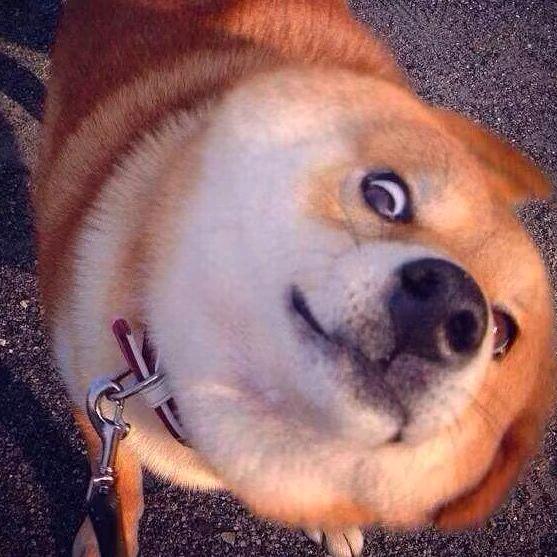 儿童杰要永远快乐