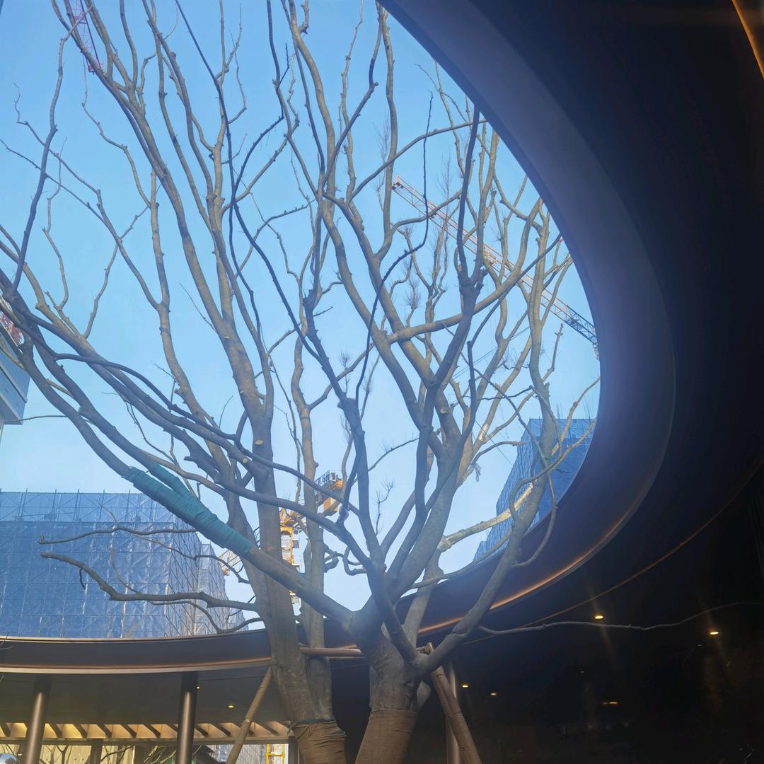 房产阿邓