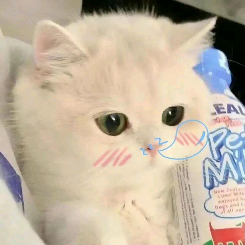 棠梨