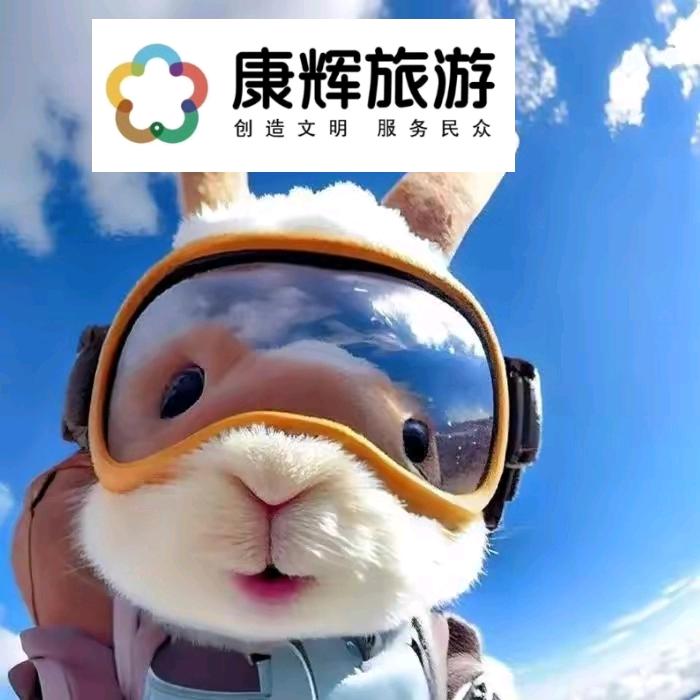 圈圈点点