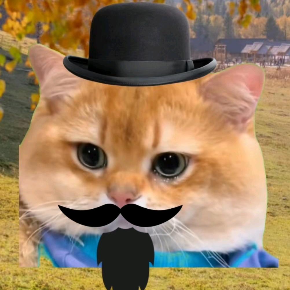 猫猫meme小剧场