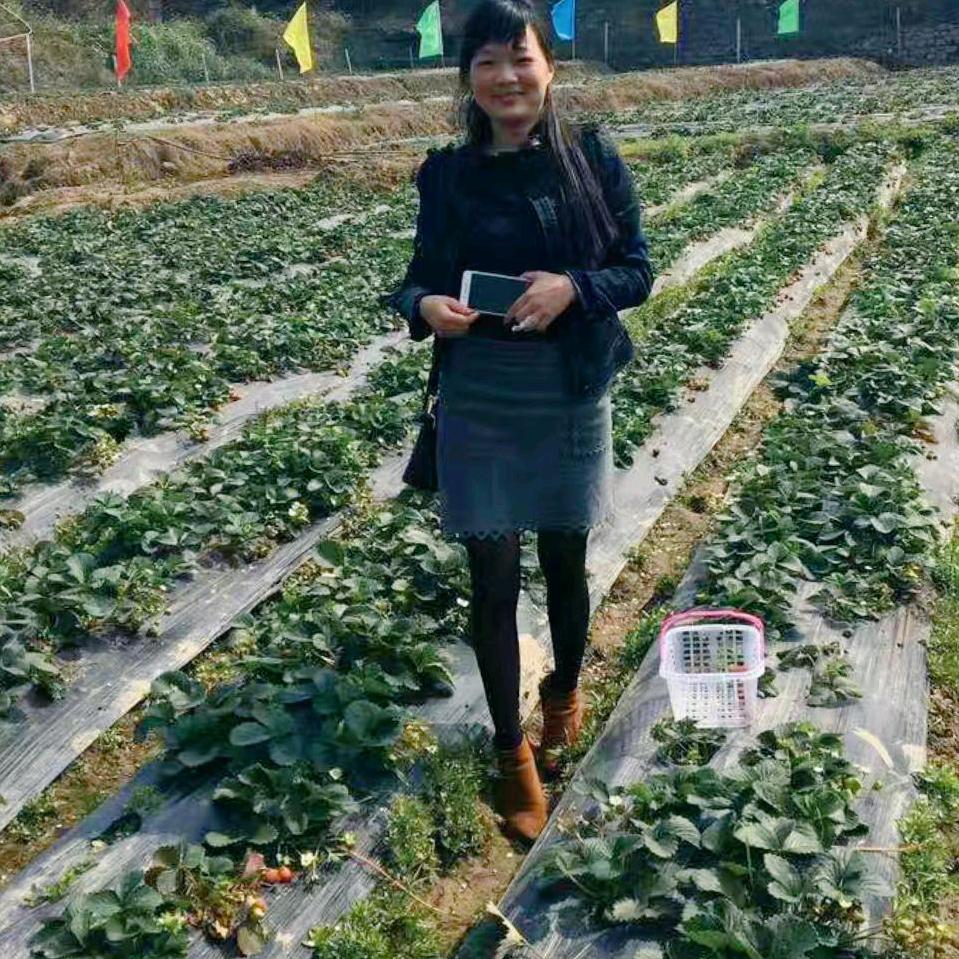 小莫同学