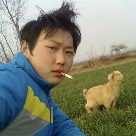 蝼蚁