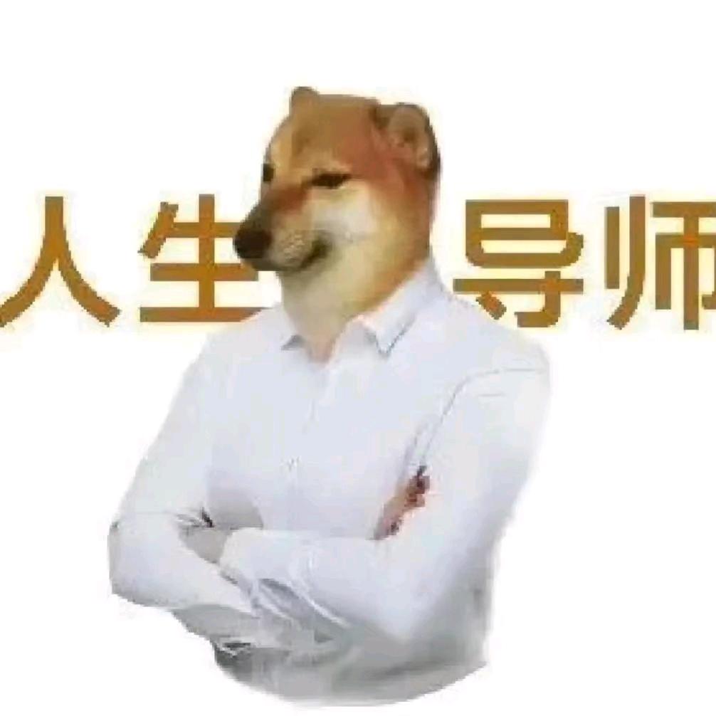 冷静智慧的贤者