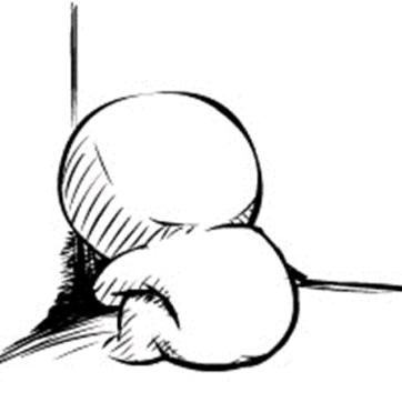 🌜⃢👁‿👁⃢ 🍁