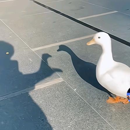 这还差不多