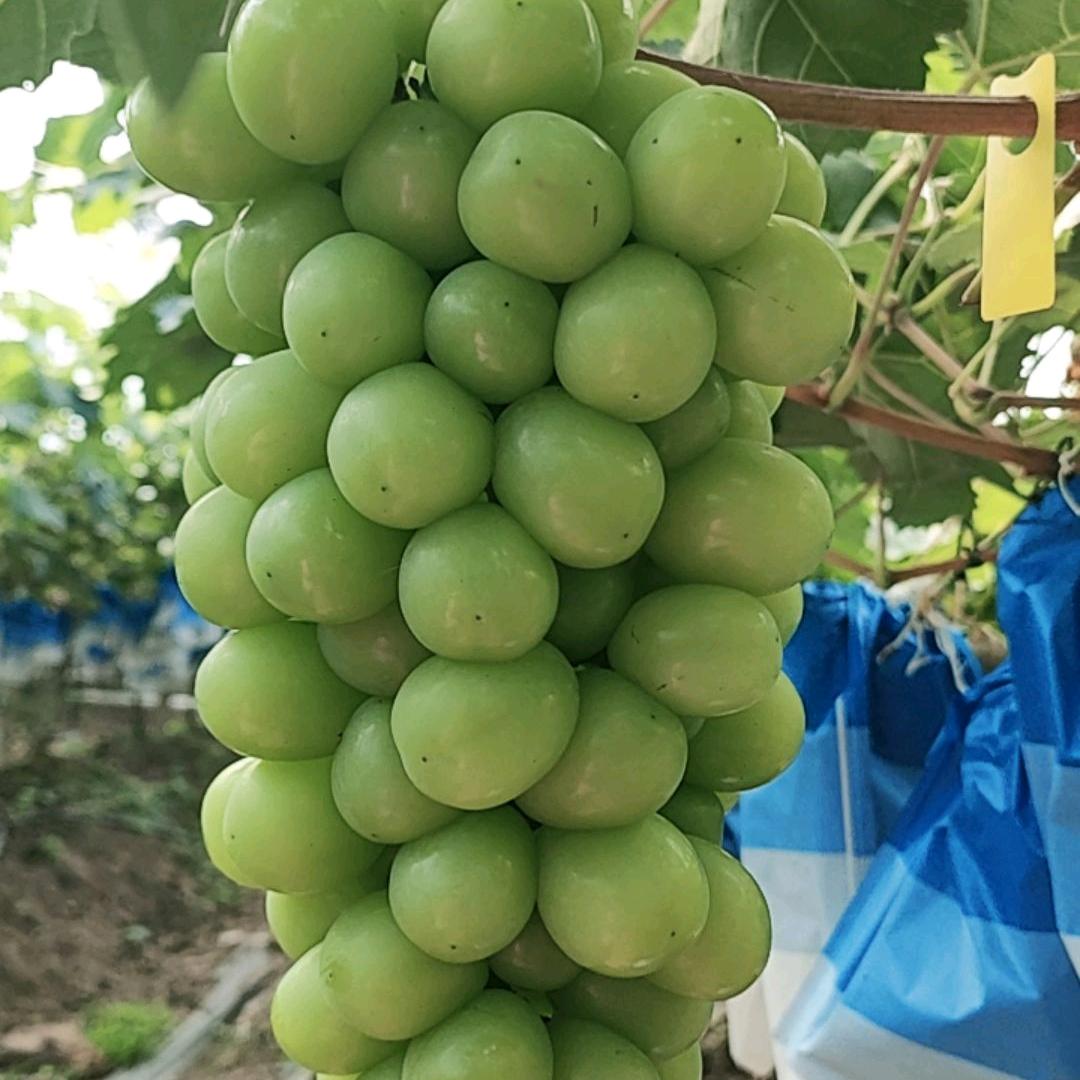 余生皆随缘。