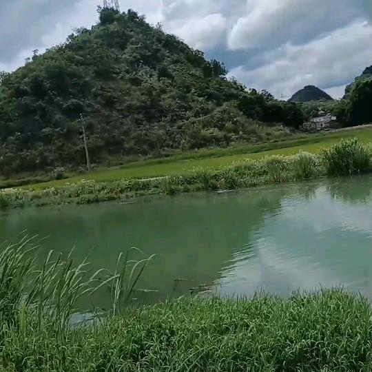 众生皆苦