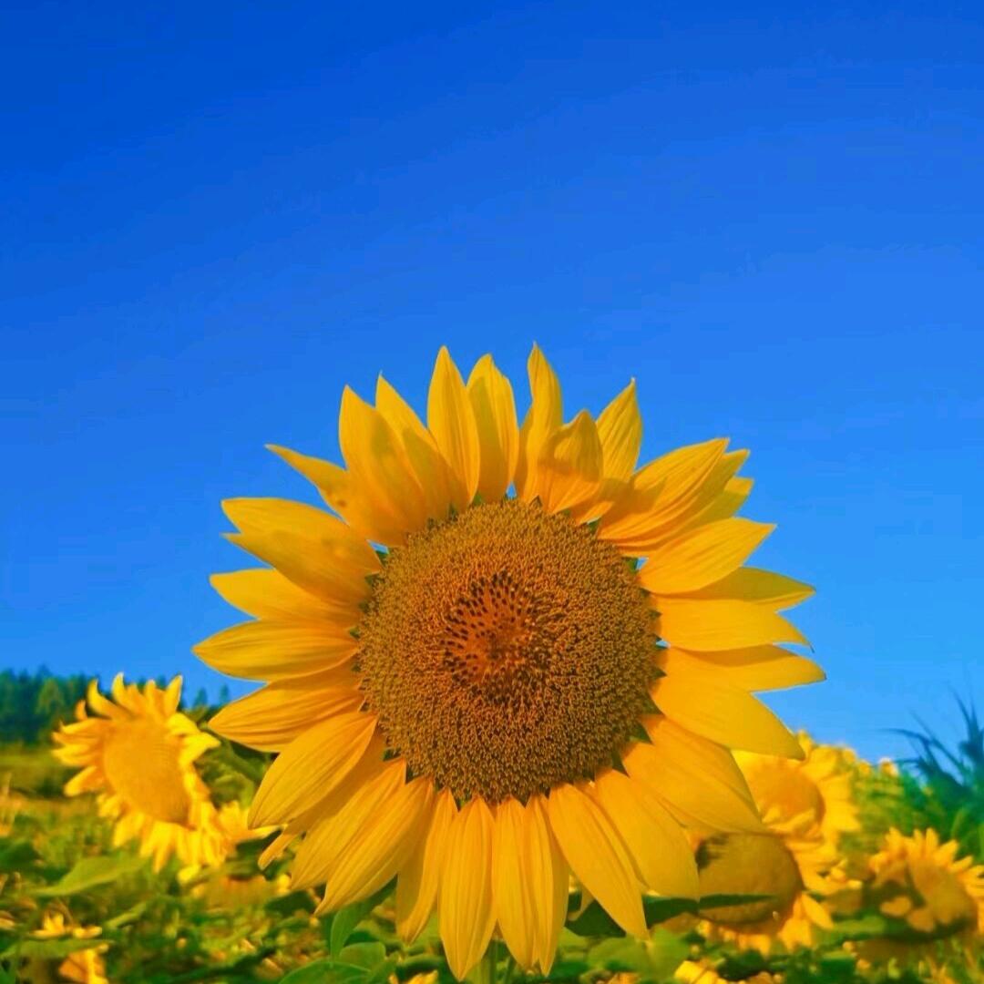 7769