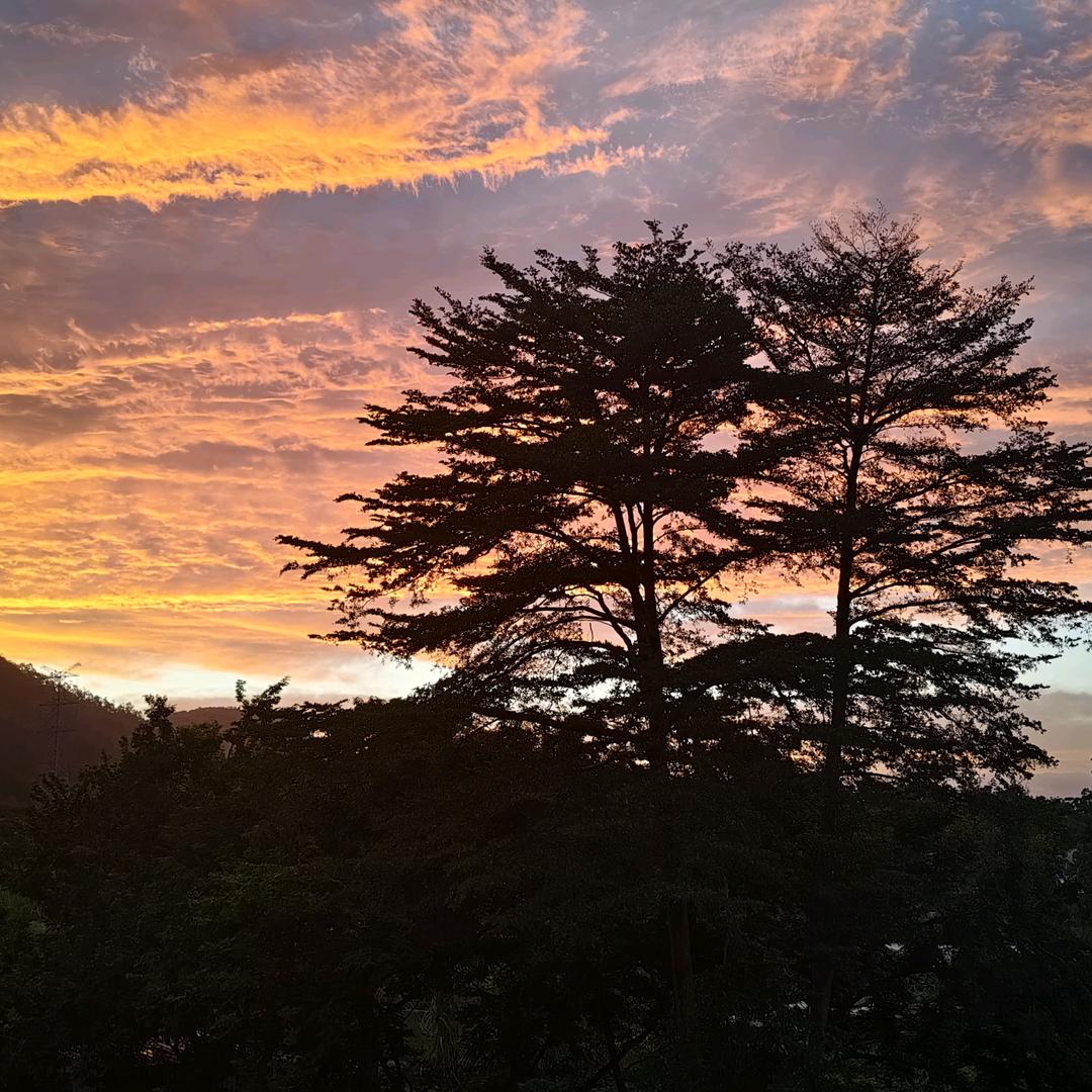 握药像疯一样自游