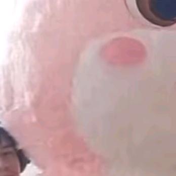 知书达理的果蜜