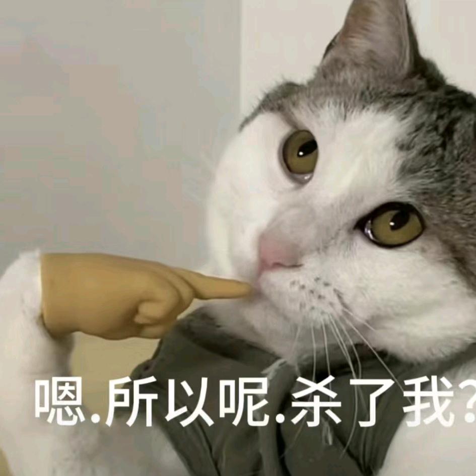 章鱼泡面