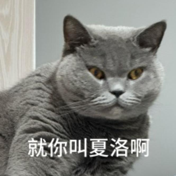 没想好起啥名