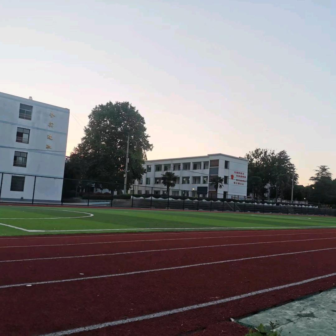 桃溪镇中心学校