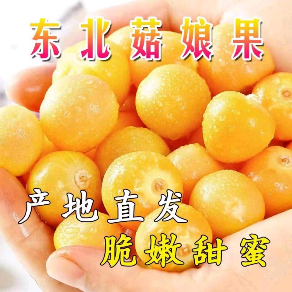 东北甜菇娘精品店