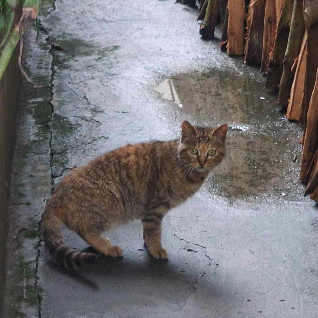 ·