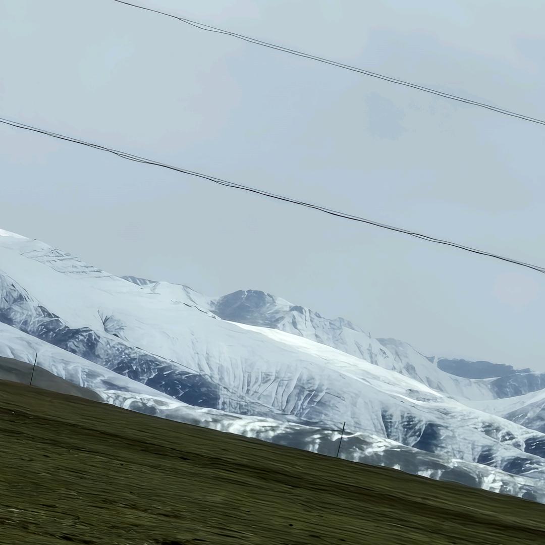 向日葵の等待丶