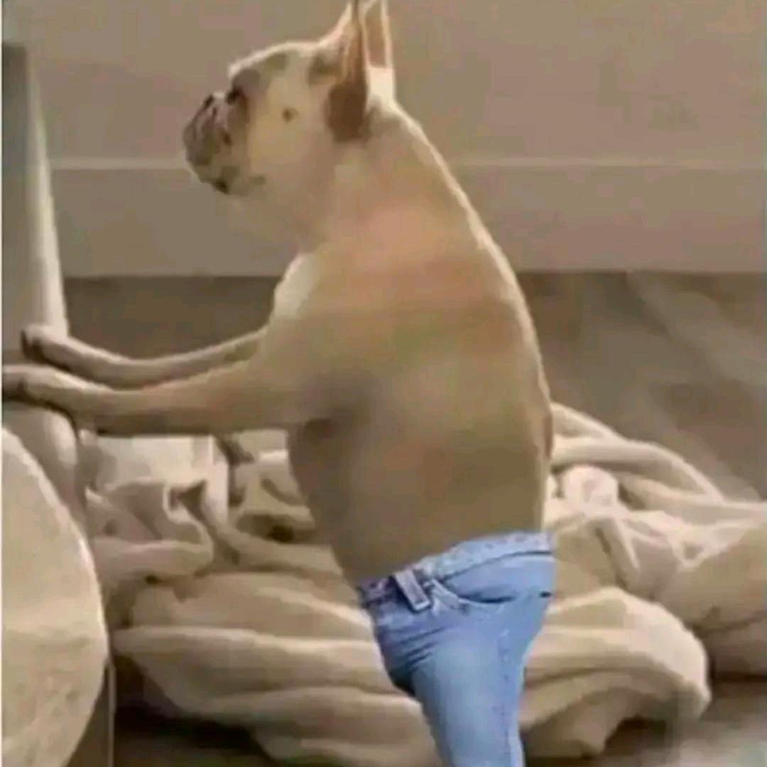 🌈大斌子⁹⁹⁹⁹⁹