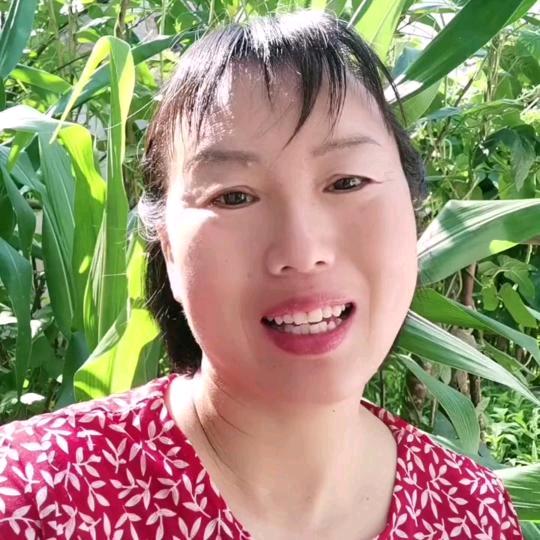 惊鸿牛下午2点10分直播