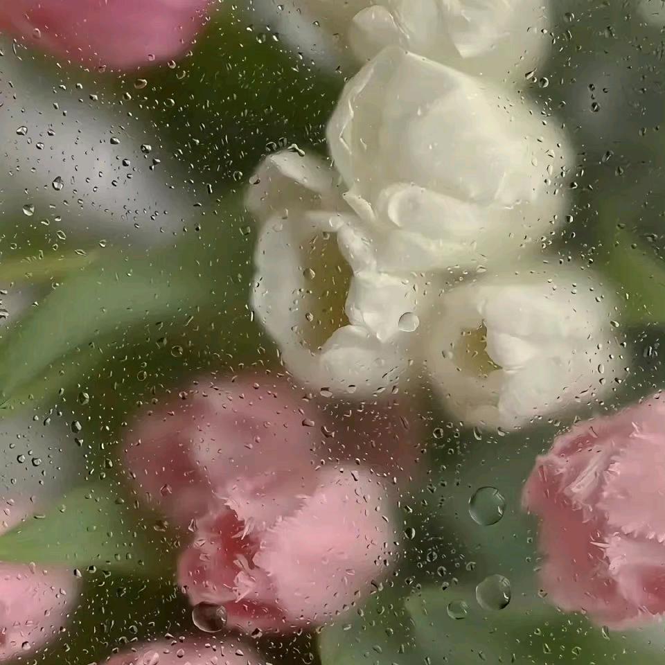 十一～
