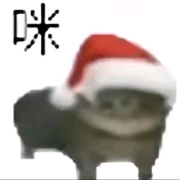 小鱿鱼
