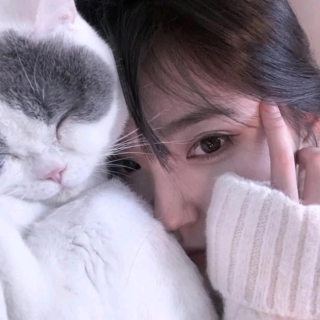 爱打盹的猫