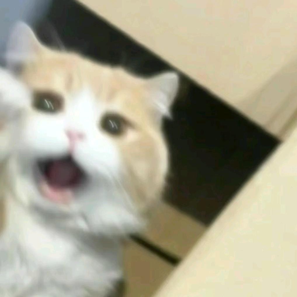 幸福山楂