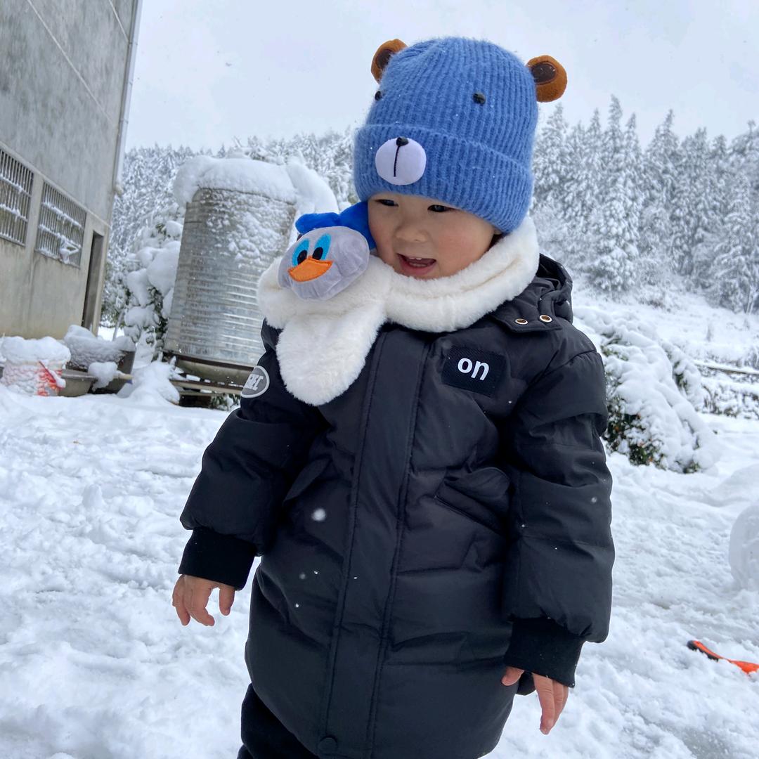 铜湾杨家鸡鸭鹅苗