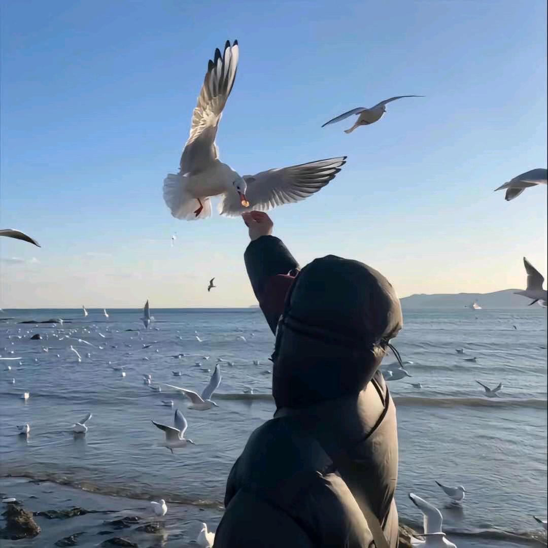 路灯下的温柔🇨🇳